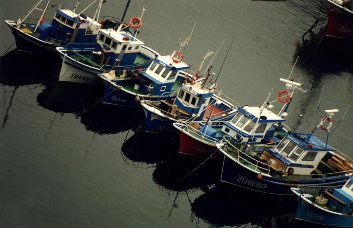 Barcos en el Muelle de Luarca. Valds.