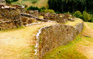 Murallas del Castro