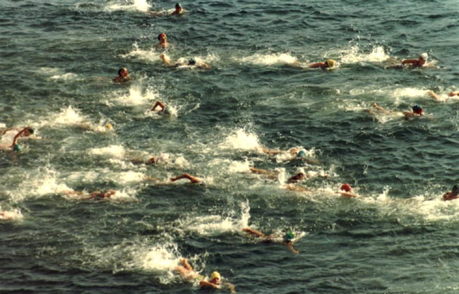 nadadores.jpg (77430 bytes)